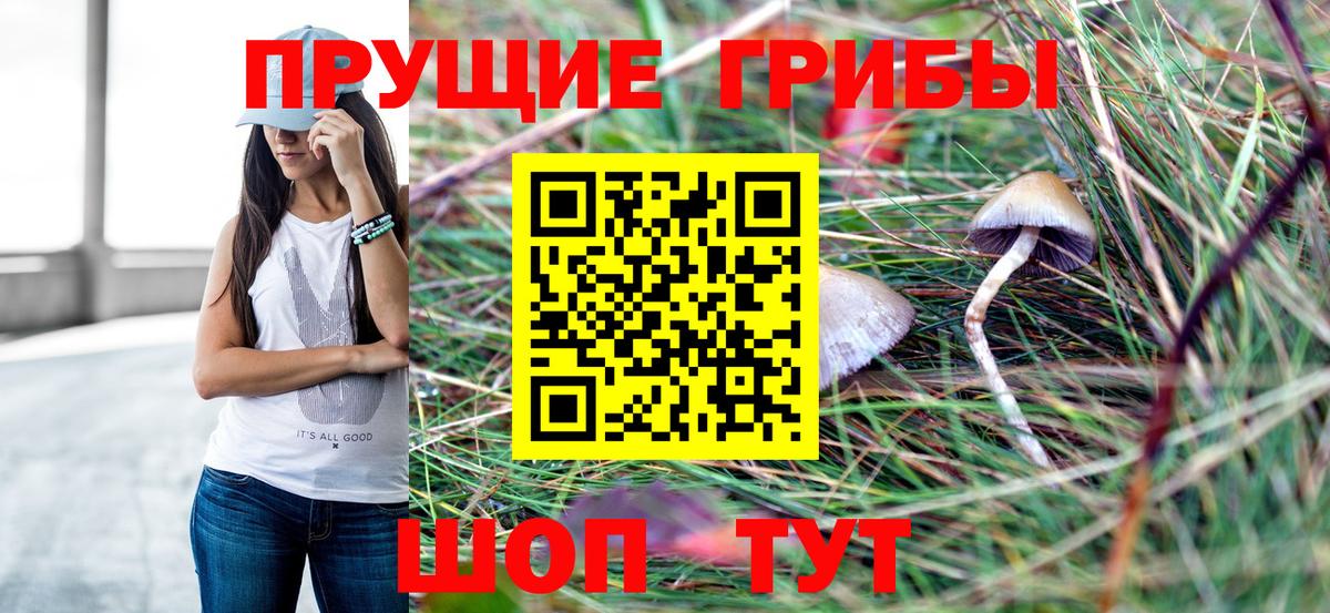 Псилоцибиновые грибы MAGIC MUSHROOMS Куйбышев