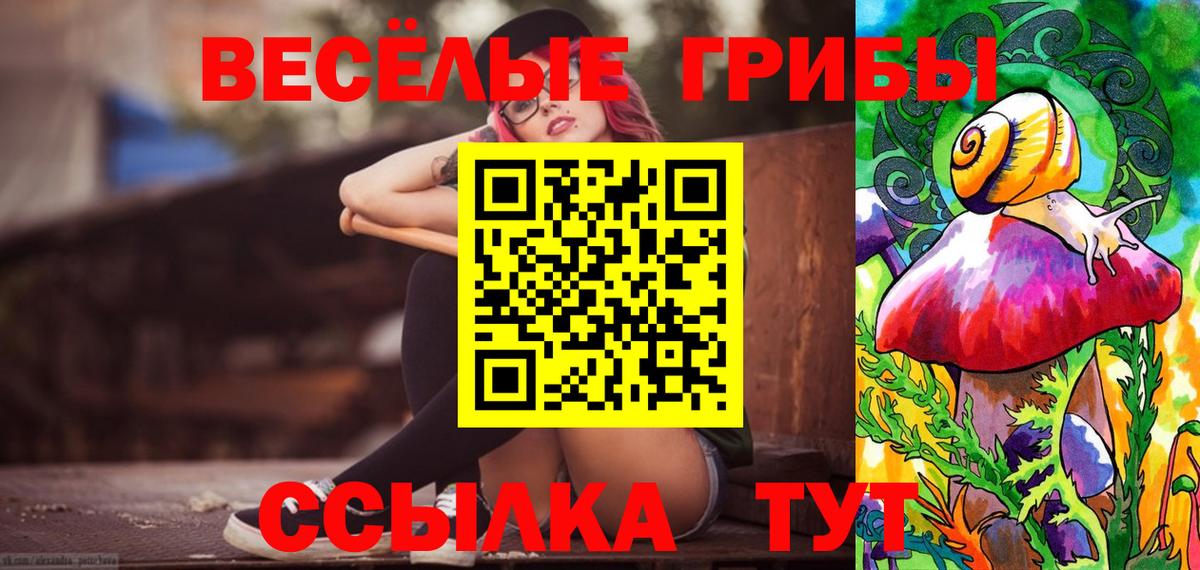 Куйбышев  Галлюциногенные грибы Cubensis  Вход с VPN 